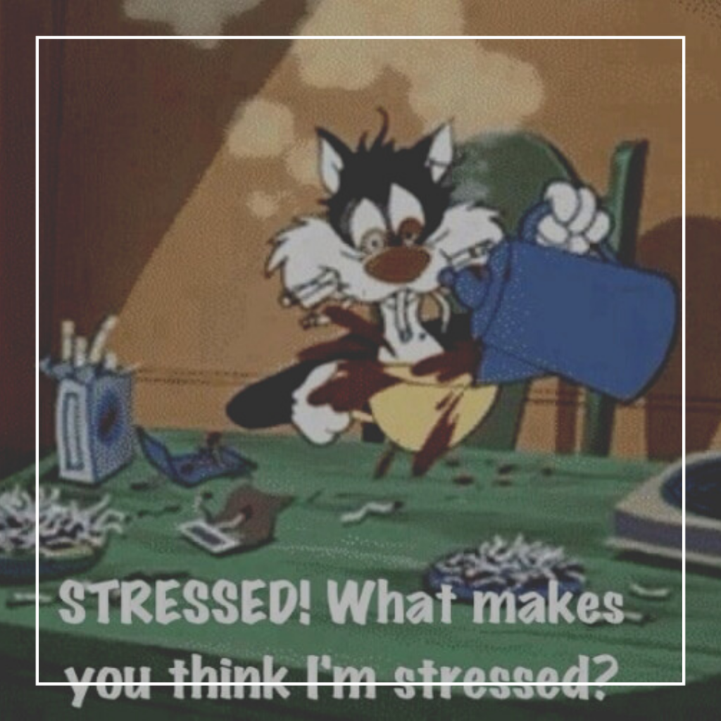 10 tips examen stress